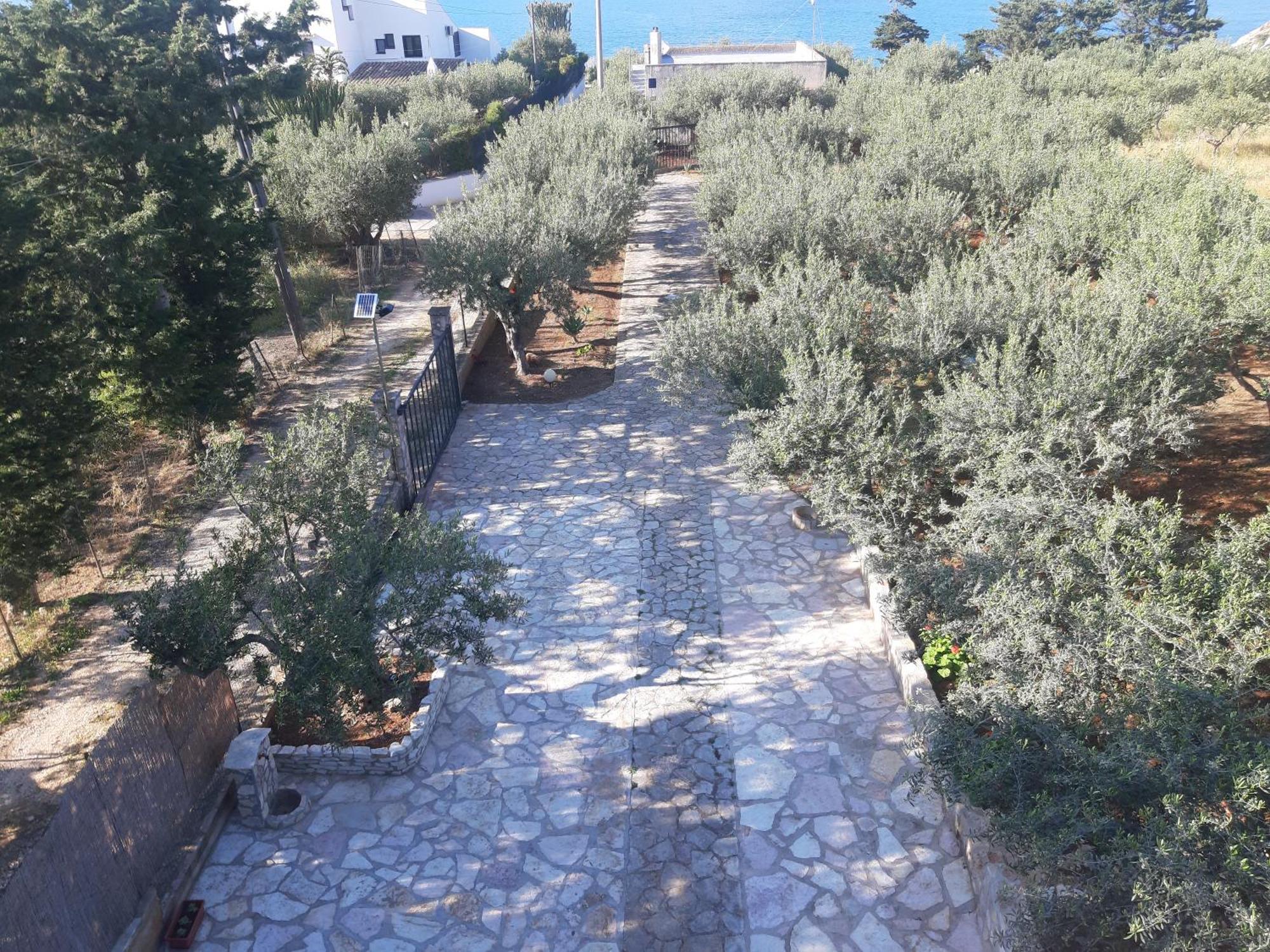 Villa L'Orizzonte Di Calabianca Castellammare del Golfo Exterior foto